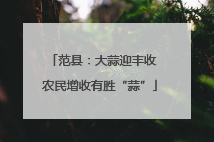 范县：大蒜迎丰收 农民增收有胜“蒜”
