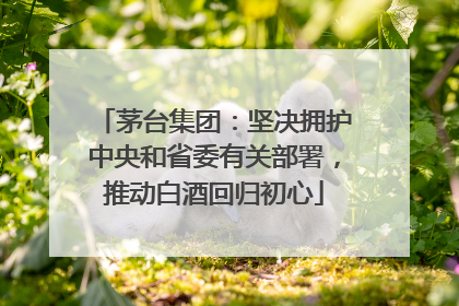 茅台集团：坚决拥护中央和省委有关部署，推动白酒回归初心