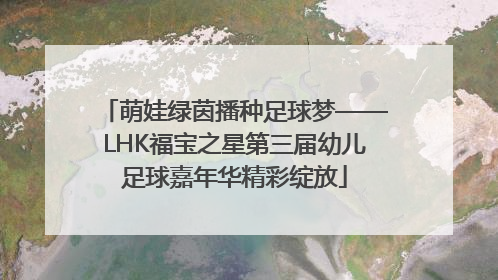 萌娃绿茵播种足球梦——LHK福宝之星第三届幼儿足球嘉年华精彩绽放