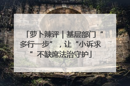 萝卜辣评｜基层部门“多行一步”，让“小诉求”不缺席法治守护