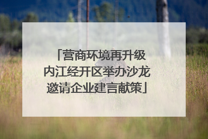 营商环境再升级 内江经开区举办沙龙邀请企业建言献策