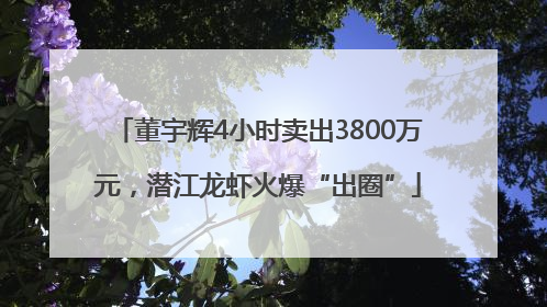 董宇辉4小时卖出3800万元，潜江龙虾火爆“出圈”