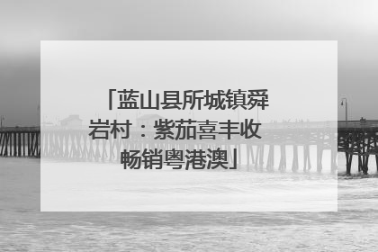 蓝山县所城镇舜岩村：紫茄喜丰收 畅销粤港澳