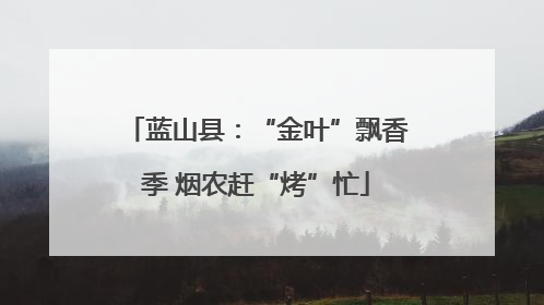 蓝山县：“金叶”飘香季 烟农赶“烤”忙