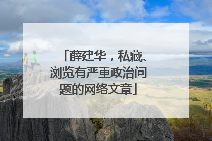薛建华，私藏、浏览有严重政治问题的网络文章
