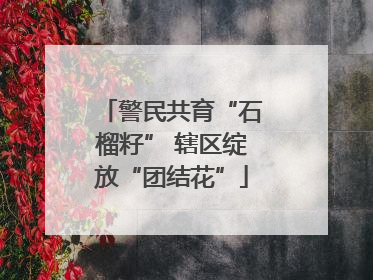 警民共育“石榴籽” 辖区绽放“团结花”