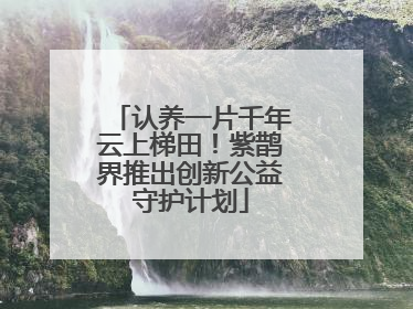 认养一片千年云上梯田！紫鹊界推出创新公益守护计划