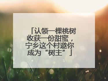 认领一棵桃树收获一份甜蜜，宁乡这个村邀你成为“树主”