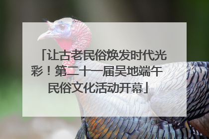 让古老民俗焕发时代光彩！第二十一届吴地端午民俗文化活动开幕