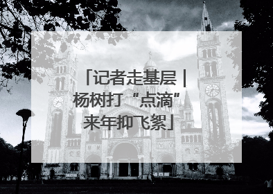 记者走基层｜杨树打“点滴” 来年抑飞絮