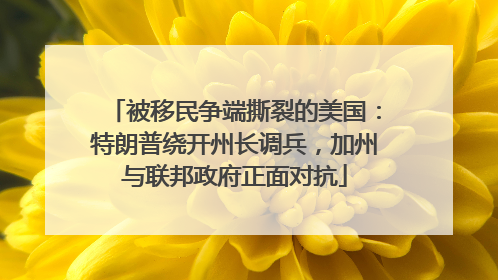 被移民争端撕裂的美国：特朗普绕开州长调兵，加州与联邦政府正面对抗