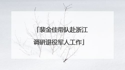 裴金佳带队赴浙江调研退役军人工作