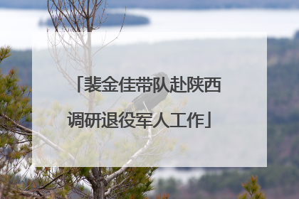 裴金佳带队赴陕西调研退役军人工作
