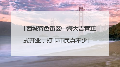 西城特色街区中海大吉巷正式开业，打卡市民真不少