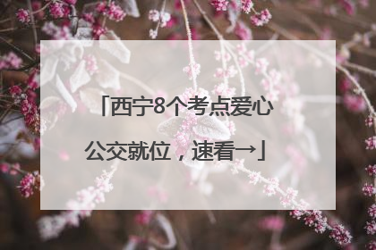 西宁8个考点爱心公交就位，速看→