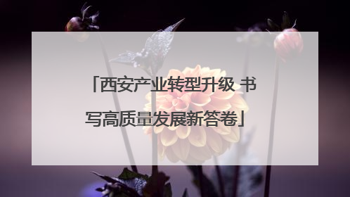 西安产业转型升级 书写高质量发展新答卷