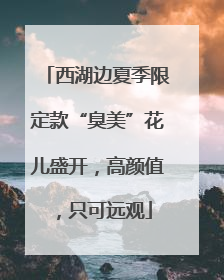 西湖边夏季限定款“臭美”花儿盛开，高颜值，只可远观