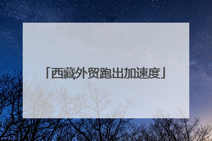 西藏外贸跑出加速度