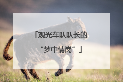 观光车队队长的“梦中情岗”