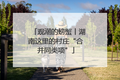 观潮的螃蟹丨湖南这里的村庄“合并同类项”