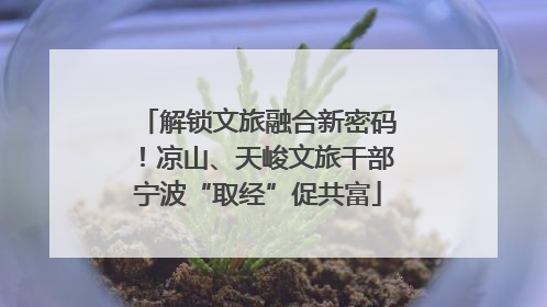 解锁文旅融合新密码！凉山、天峻文旅干部宁波“取经”促共富