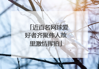 近百名网球爱好者齐聚伟人故里激情挥拍