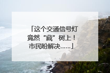 这个交通信号灯竟然“藏”树上！市民盼解决……