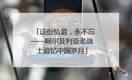 这份情谊，永不忘——阿尔及利亚老战士追忆中国岁月
