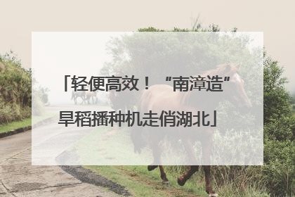 轻便高效！“南漳造”旱稻播种机走俏湖北