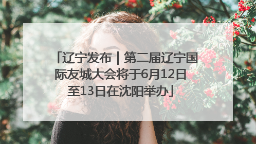 辽宁发布｜第二届辽宁国际友城大会将于6月12日至13日在沈阳举办