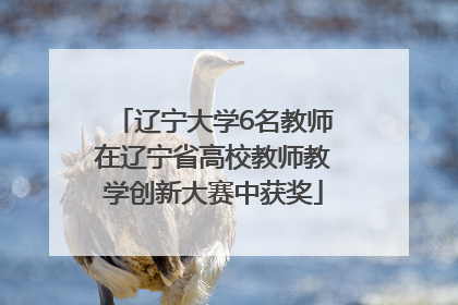 辽宁大学6名教师在辽宁省高校教师教学创新大赛中获奖