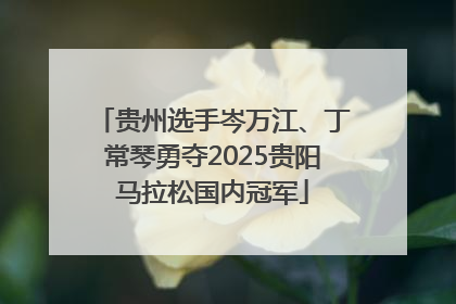 贵州选手岑万江、丁常琴勇夺2025贵阳马拉松国内冠军