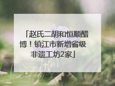 赵氏二胡和恒顺醋博！镇江市新增省级非遗工坊2家