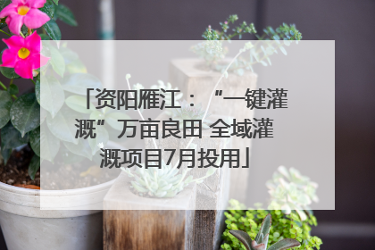 资阳雁江：“一键灌溉”万亩良田 全域灌溉项目7月投用