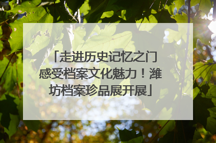 走进历史记忆之门 感受档案文化魅力！潍坊档案珍品展开展