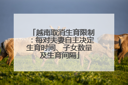 越南取消生育限制：每对夫妻自主决定生育时间、子女数量及生育间隔