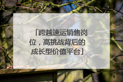 跨越速运销售岗位，高挑战背后的成长型价值平台