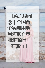 蹲点见闻②｜全国首个实现用地用海联合审批的项目，在浙江