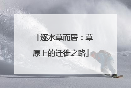 逐水草而居：草原上的迁徙之路