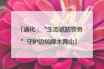 通化：“生态巡防警务”守护边境绿水青山