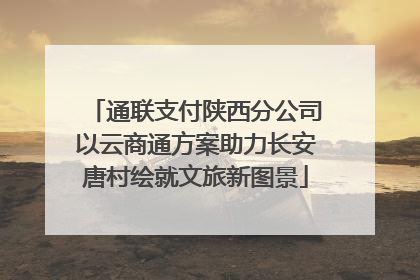 通联支付陕西分公司以云商通方案助力长安唐村绘就文旅新图景