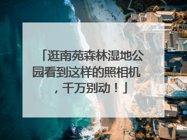 逛南苑森林湿地公园看到这样的照相机，千万别动！