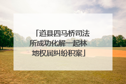 道县四马桥司法所成功化解一起林地权属纠纷积案