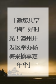 邀您共享“梅”好时光！漳州开发区举办杨梅采摘季嘉年华
