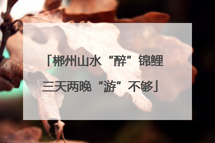 郴州山水“醉”锦鲤 三天两晚“游”不够