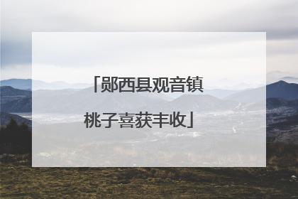 郧西县观音镇桃子喜获丰收