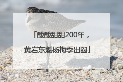 酸酸甜甜200年，黄岩东魁杨梅季出圈