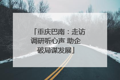 重庆巴南：走访调研听心声 助企破局谋发展