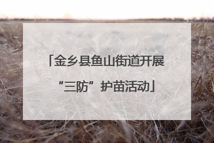 金乡县鱼山街道开展“三防”护苗活动