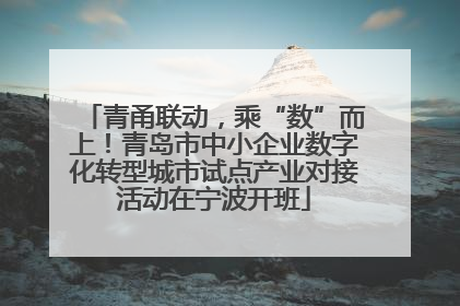 青甬联动，乘“数”而上！青岛市中小企业数字化转型城市试点产业对接活动在宁波开班